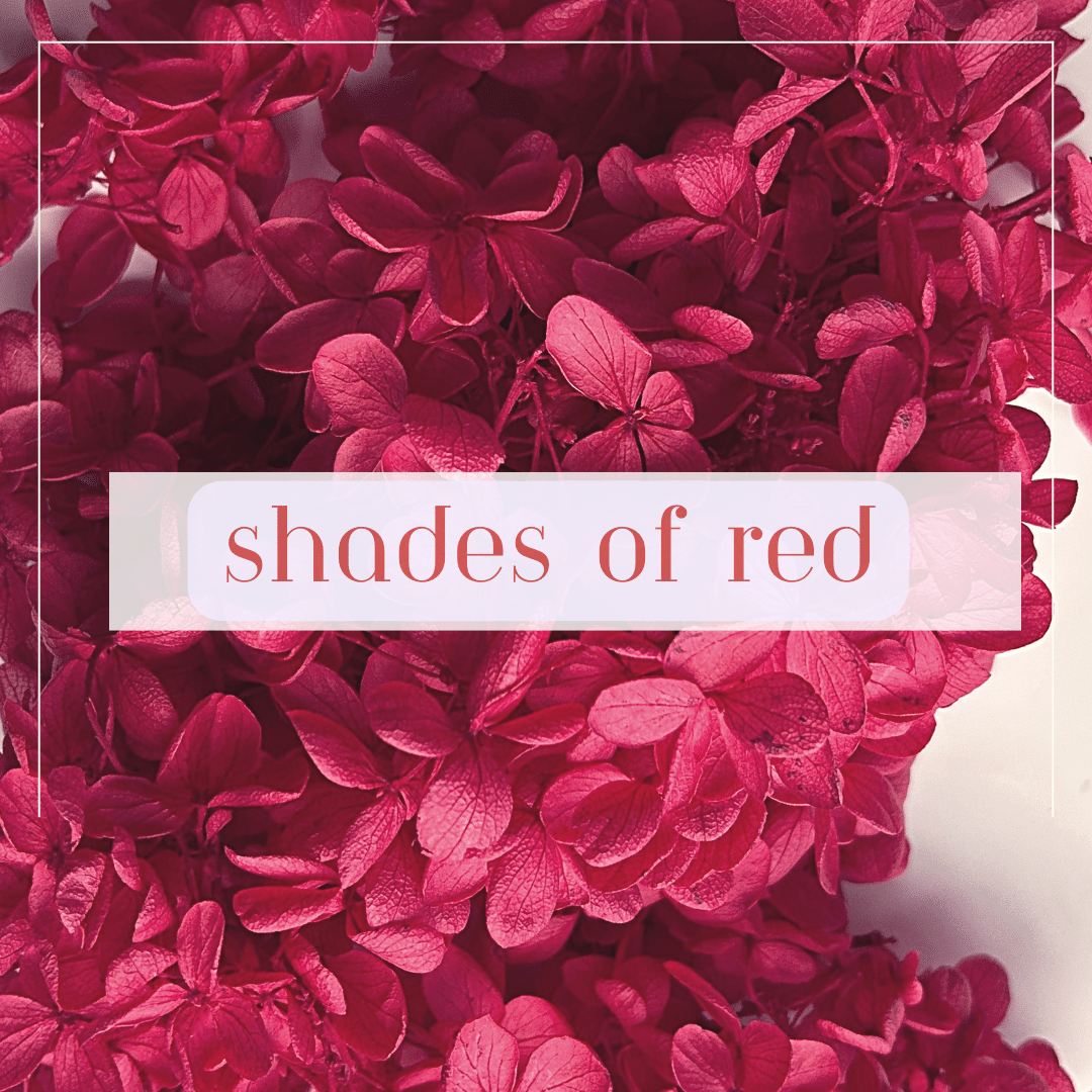 Shades of Red