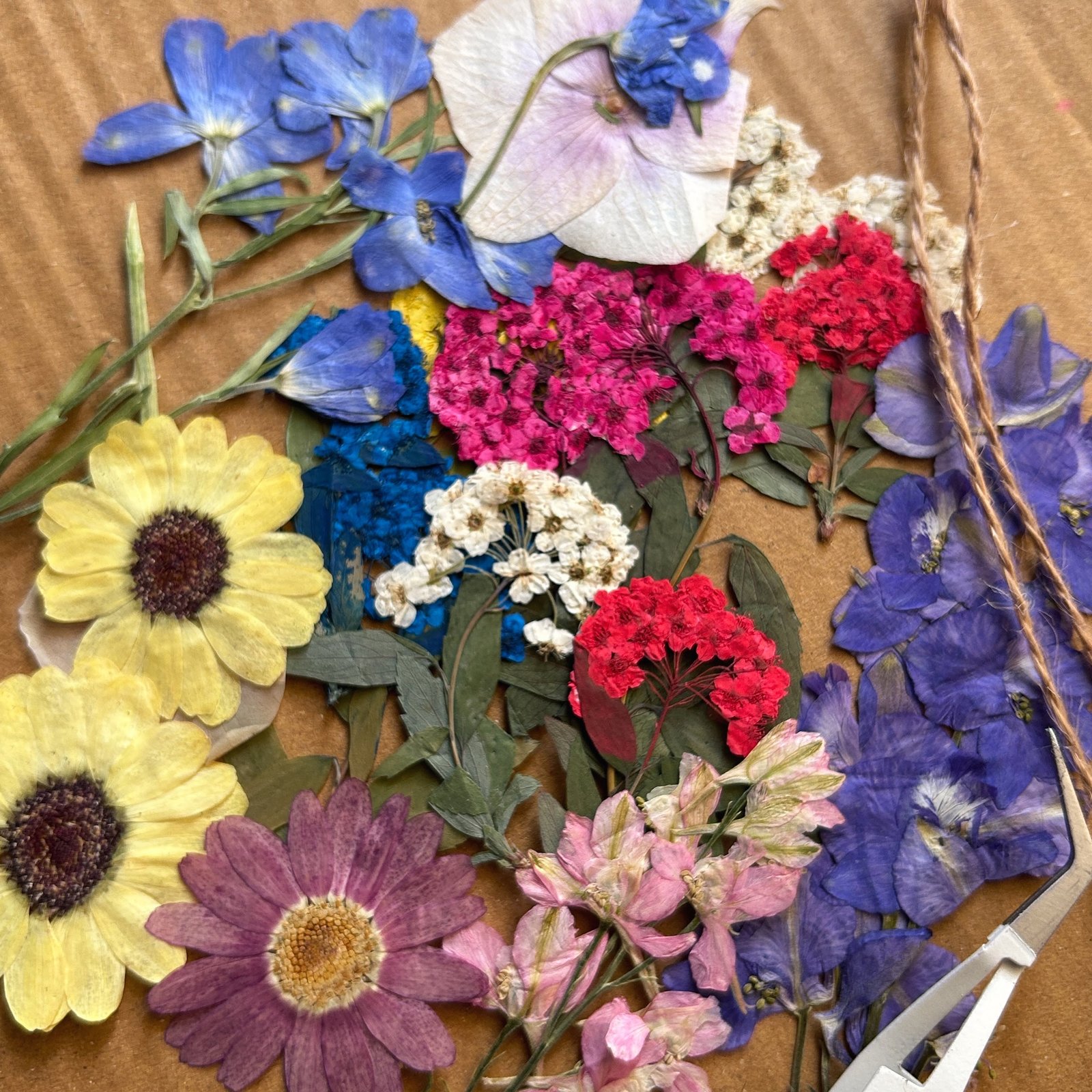 PRESSED FLOWERS