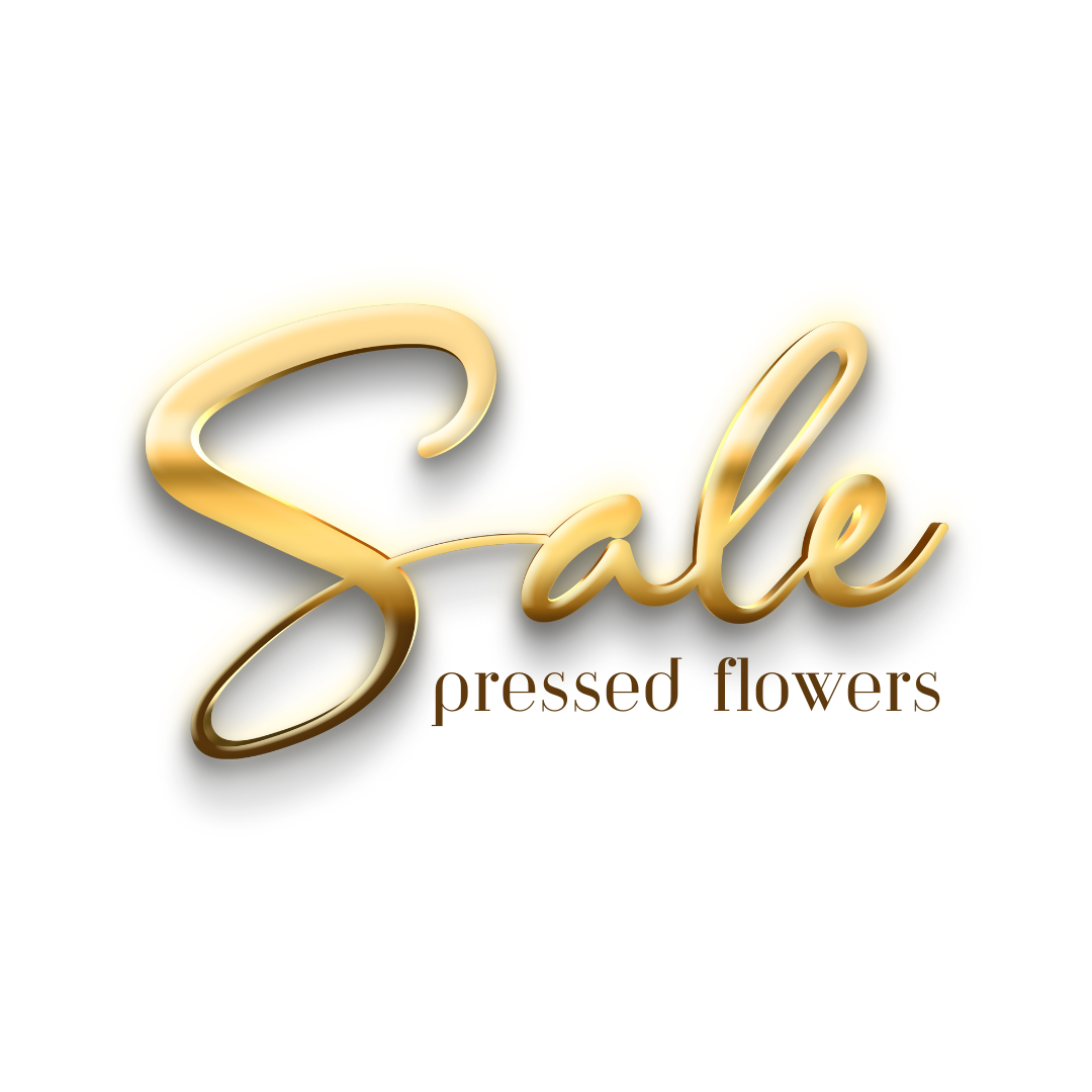 Sale - Pressed Flowers