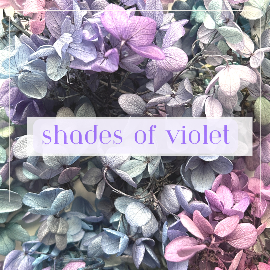 Shades of Violet