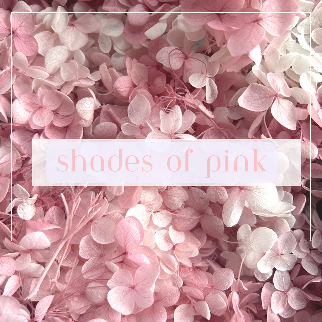    Shades of Pink