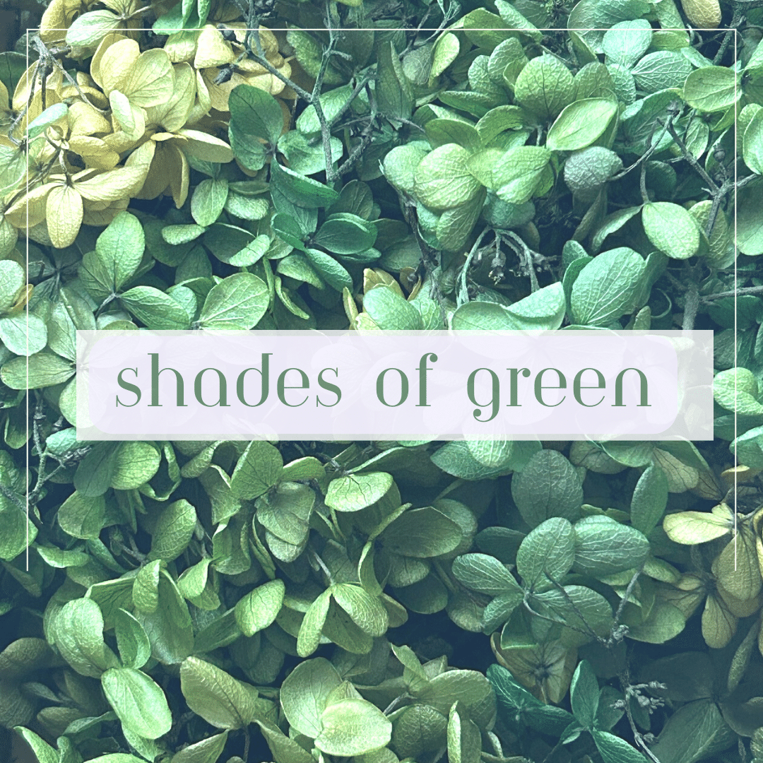 Shades of Green